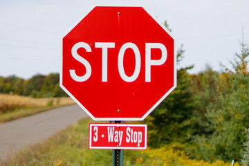 Three Way Stop Sign on a country road with trees during summer
