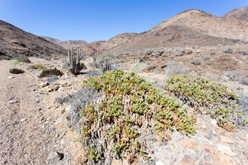 Landscape at pan de azucar national park