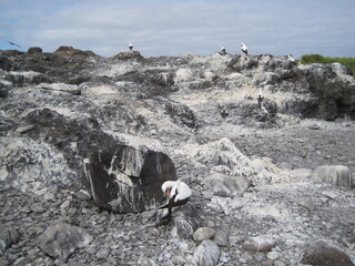 The flora and fauna of the Galapagos Islands