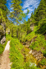 Mountain landscape in the Juranova dolina - valley in The Western Tatras, the Tatra National Park, Slovakia, Europe. © Viliam