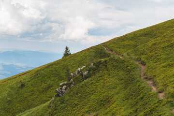 Obraz premium scenic Carpathians mountains and hills in the nice weather in summer