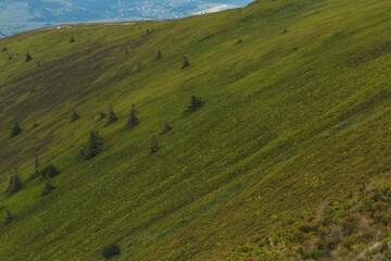 Fototapeta premium scenic Carpathians mountains and hills in the nice weather in summer