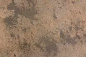 Background of tanned calfskin to cover drums