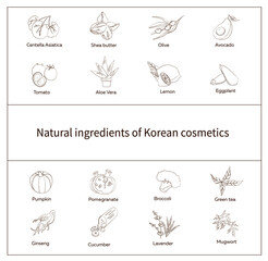 set of natural ingredients of Korean cosmetics, Centella, avocado, olive, green tea. eggplant, ginseng. broccoli, pumpkin, aloe, shea butter, lemon, pomegranate, mugwort, lavender