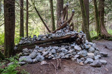 Rocks in the forrest