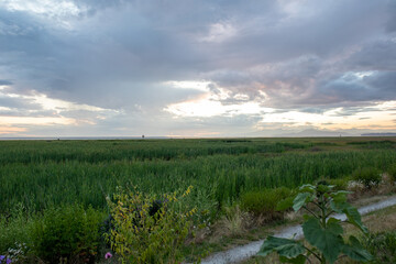 sunset over the river