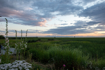 sunset over the river