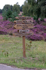 wegweiser im naturschutzgebiet brachter wald
