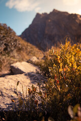 Obraz premium Gelmersee, Rundwanderweg