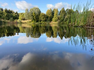 reflection of trees in lake