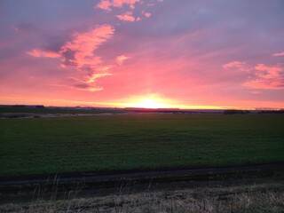 sunset over the field