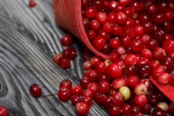 An overturned basket of cranberries. The berries were scattered over the surface of the planks with a wooden structure.