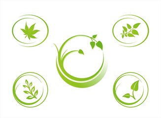 leaves, plant, icons , nature, Eco friendly business logo	