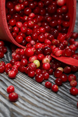 An overturned basket of cranberries. The berries were scattered over the surface of the planks with a wooden structure.