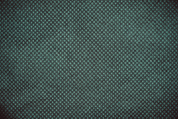 Green grunge dotted paper fabric texture closeup photo background.