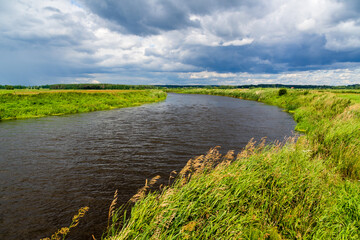 Pełnia lata w Dolinie Narwi. Piękno Podlaskiej przyrody, Polska © podlaski49