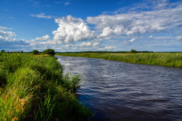 Pełnia lata w Dolinie Narwi. Piękno Podlaskiej przyrody, Polska © podlaski49
