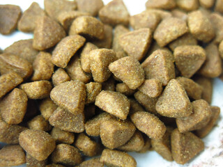 Fototapeta na wymiar cat food pellets look like rocks or coffee