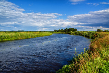 Pełnia lata w Dolinie Narwi. Piękno Podlaskiej przyrody, Polska © podlaski49