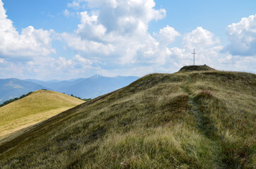 Fototapeta na wymiar Grassy slopes and the top of Mount Tyapesh on a sunny summer day in the Ukrainian Carpathians, Transcarpathian region