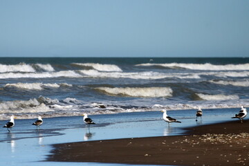 playa argentina