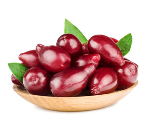 The fruits of dogwood isolated on white background
