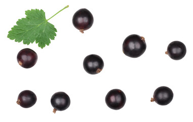 Elder berries isolated on white background, top view