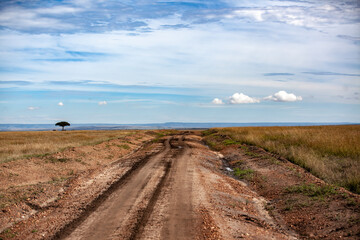 masai mara safari