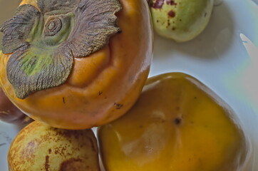 Persimmons in the plate