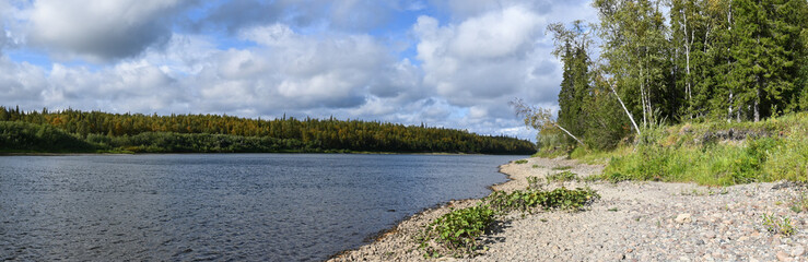Summer panorama of the Northern taiga river.