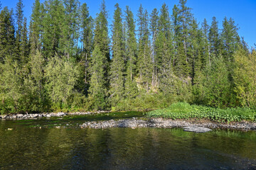 Lemva river Bank.