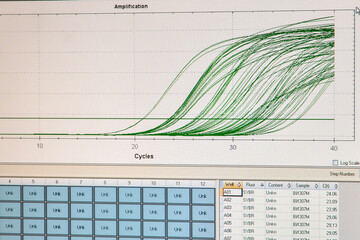 Amplification curves for real-time PCR reactions.