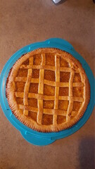 homemade apple pie