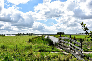Fototapeta na wymiar Enjoy the unique beauty of the typical Dutch landscape with its varied nature reserve full of streams, fences and extensive meadows. Netherlands, Holland, Europe