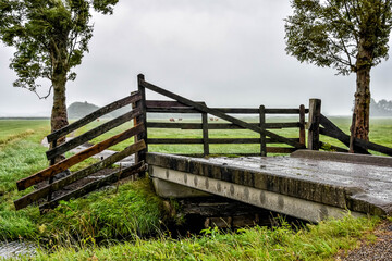 Enjoy the unique beauty of the typical Dutch landscape with its varied nature reserve full of streams, fences and extensive meadows. Netherlands, Holland, Europe