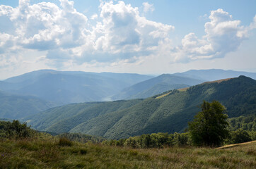 Naklejka premium Amazing view of peaceful intact nature on a sunny autumn day in the countryside with Carpathian mountains in the back and old grass on the ground