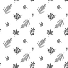 Seamless pattern with black and white fern, dog rose, rowan, ginkgo, maple, horse chestnut