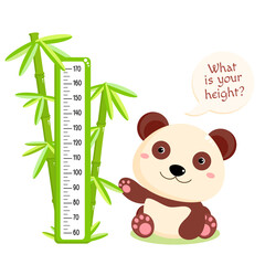 Height chart with cute baby panda and bamboo