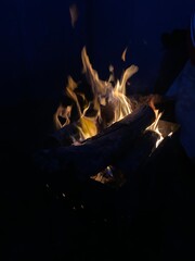 fire in the night