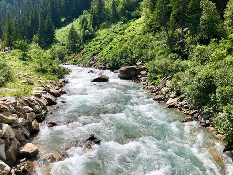 river in the forest