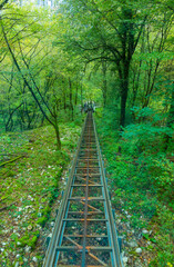 Obraz premium The Škocjan Caves, Green Karst, Slovenia, Europe