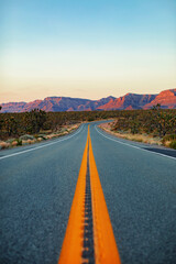 Fototapeta na wymiar Sunset road with yellow lines in Joshua tree forest. Road to Grand Canyon West national park, Arizona‎