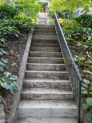 old stair way with green plants and shrubs