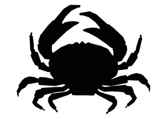 crab  vector  icon