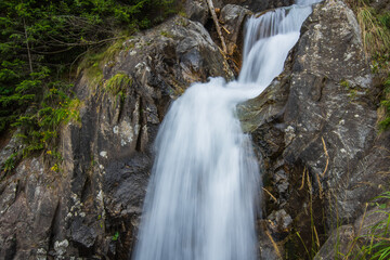 Fototapeta na wymiar small waterfall with rocks in the forest detail