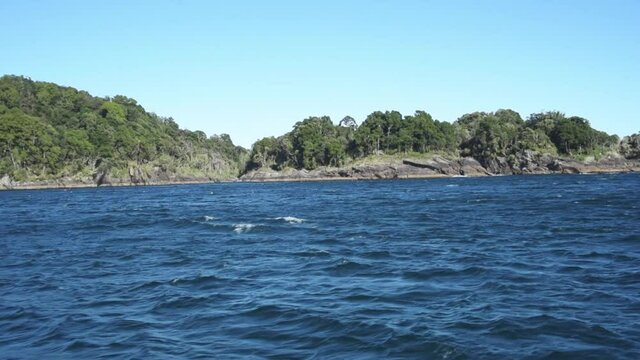 Wide angle view of rock islands with trees on the in the deep blue Pacific Ocean. Wild coast of New Zealands Tasman Sea on a cruise at the South Island