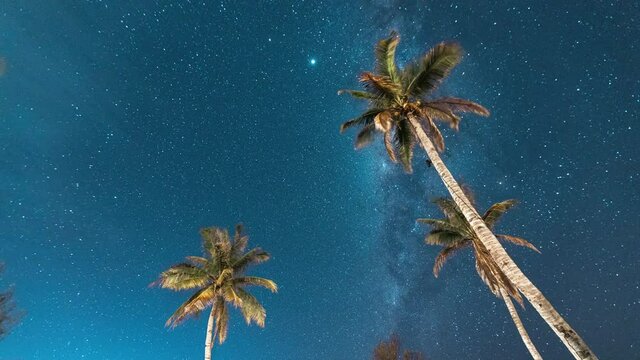 Night landscape timelapse with colorful Milky Way, Starry sky with tropical palms on the island of Bali in Indonesia