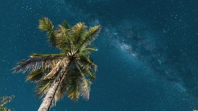 Milky way galaxy stars moving over a palm tree on Gili Islands, Indonesia