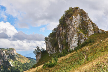 limestone cliff in the background of a spacious wooded mountain valley