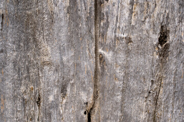 shabby weathered color door wood texture graphic resource